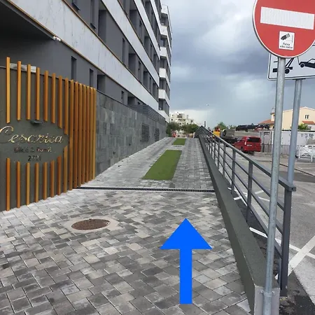 Apartamento Lavanda 2